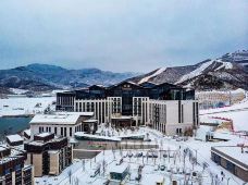 张家口-YoYo_8L8F0D7S