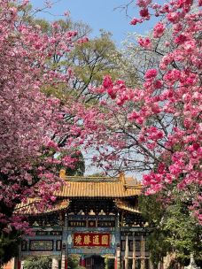 圆通寺-昆明-天道～酬勤