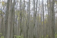 锦山公园景点图片