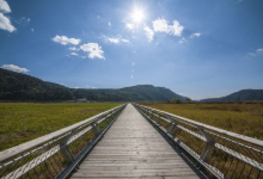 北海湿地公园景点图片