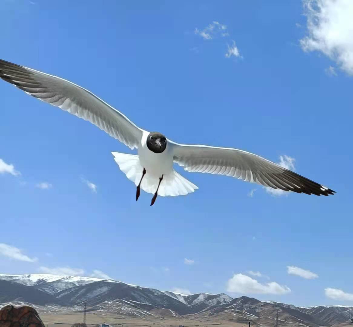 水云间海景餐厅