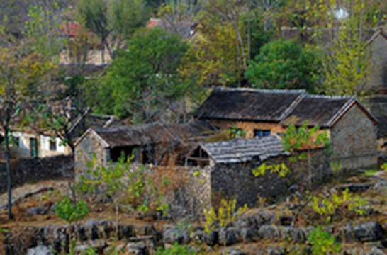 沂南游记图片] 山东红色景区推荐：走进革命老区，追寻红色印记