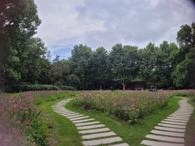 杨浦公园旅行图片 9