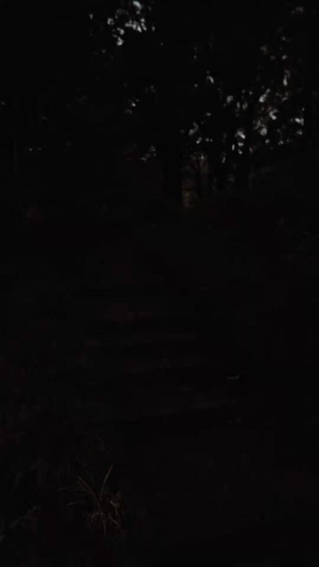 漕溪公园旅行图片 1