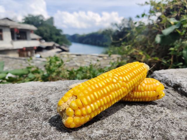 镇山村-千年古井旅行图片 5