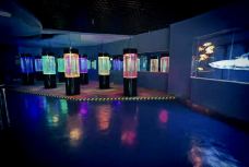 苏州海洋馆-苏州-YoYo_5N8G4T5R