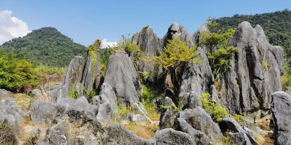 永安旅遊