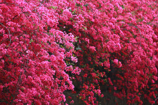 还不进来一键get「秋色必拍清单」!