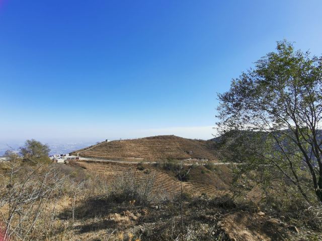玫瑰谷旅行图片 11
