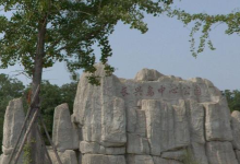 长兴岛中心公园景点图片
