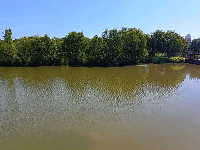 西安浐灞国家湿地公园旅行图片 2