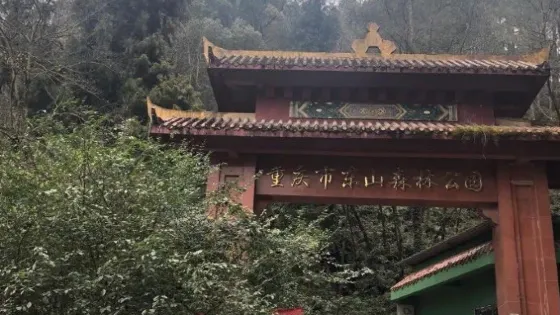 梁平東山森林公園