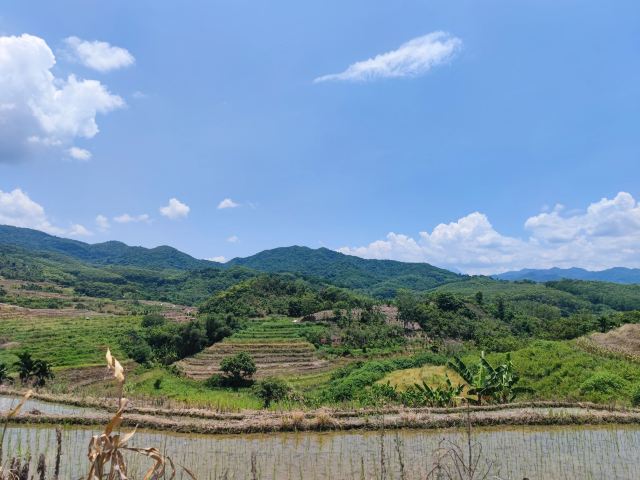 牙胡梯田景区旅行图片