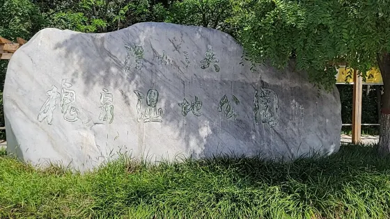 渭水之央槐泉濕地公園