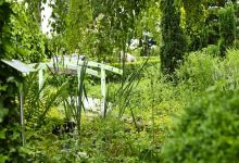 Garten der Stille景点图片