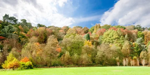 温科沃斯植物園