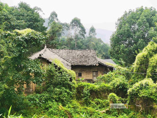 行走自贡：寻迹荣县牛峰古寨