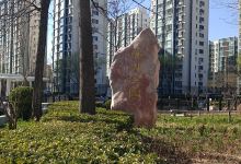 郦湖公园景点图片