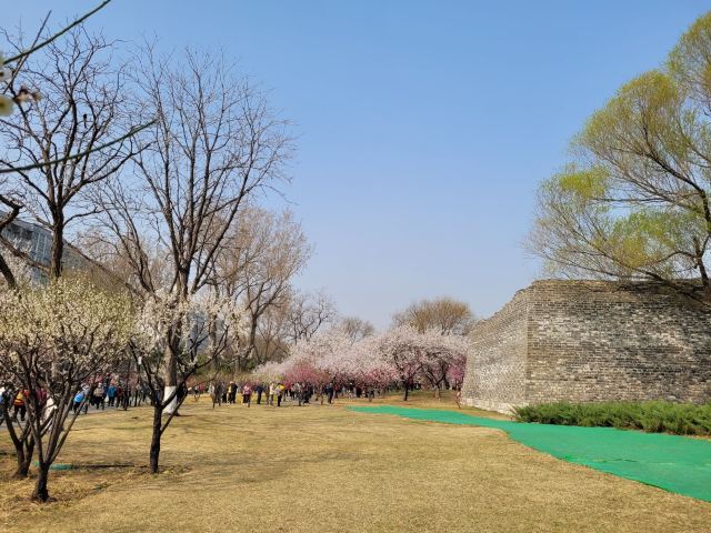 北京明城墙遗址公园旅行图片 6