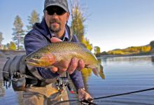 Clark Fork Trout购物图片