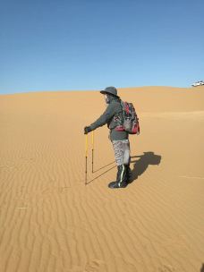 腾格里沙漠-中卫-健康美丽的芳芳