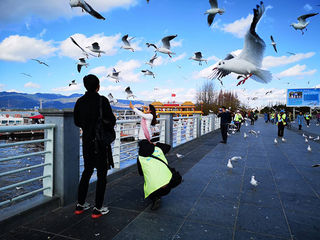 云南 ——一个来了就不想离开的地方