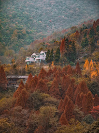 青城山游记图片] 成都周边游，亦古亦今的古典意蕴，青城山上两天一夜的惬意时光