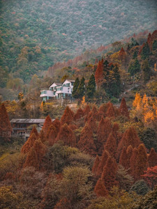 青城山游记图文-成都周边游，亦古亦今的古典意蕴，青城山上两天一夜的惬意时光