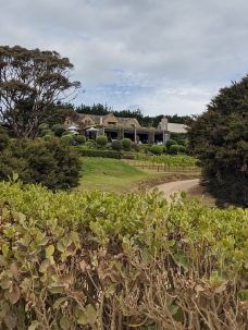 Mudbrick Restaurant and Vineyard-怀希基岛-多多