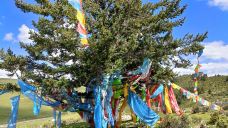 扎嘎神山风景区-理塘-灼眼的夏娜酱