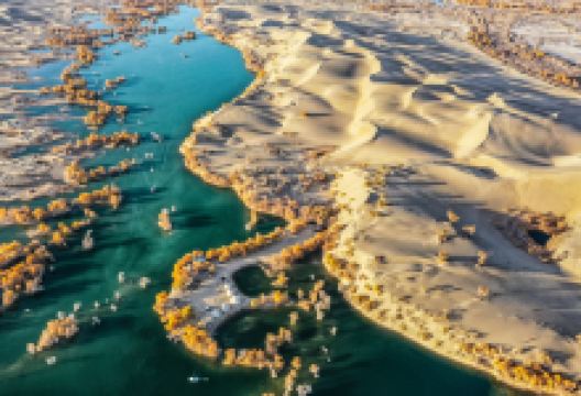 塔里木盆地景点图片