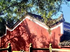 真武山城市森林公园-宜宾-路上50