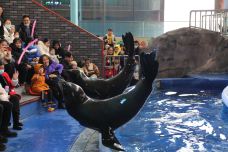 海滨城浩海立方海洋公园-成都-C-IMAGE