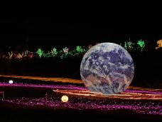 边麻沟花海-大通-C-IMAGE