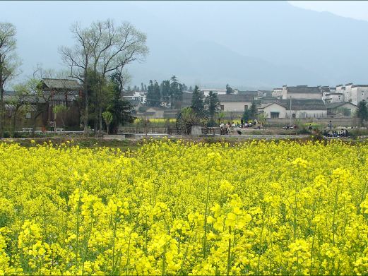 南屏景区
