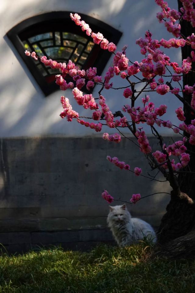 地坛公园旅行图片 2