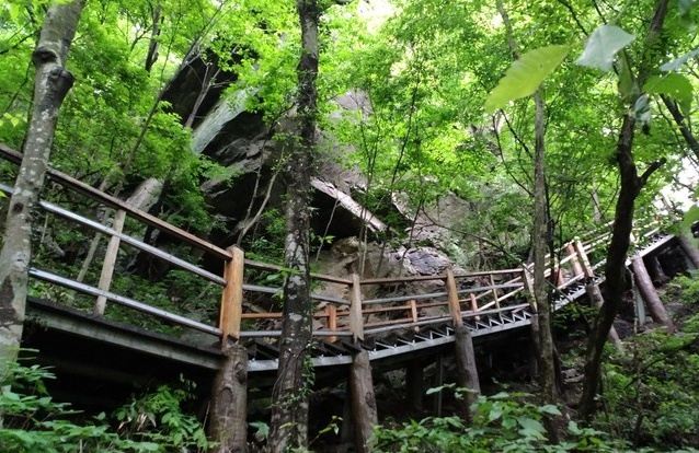 马鬃岭景区旅行图片 1