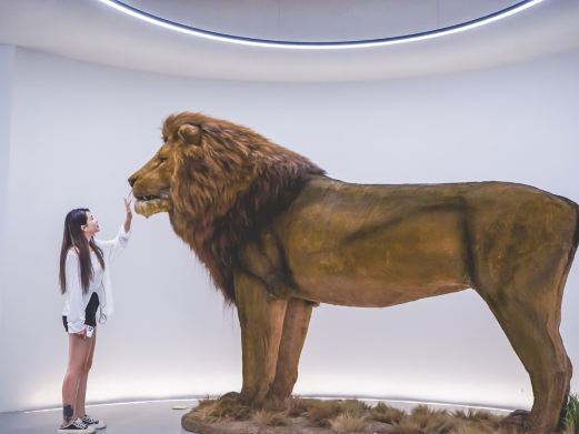 山海恒达标本观光工厂