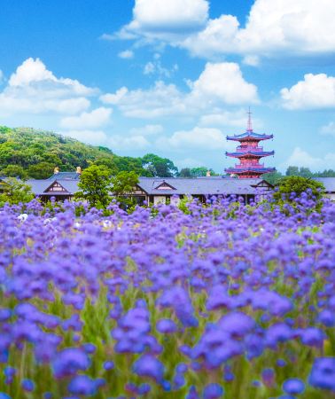 8天7晚 • 上海＋杭州＋紹興＋烏鎮＋蘇州＋無錫：贈送遊船體驗 行程可自由調整 入住國際品牌飯店 一車到底暢遊江南經典六地
