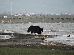祁连游记图片] 青海祁连自驾一周游-风景美如画，疫情过去了还想去