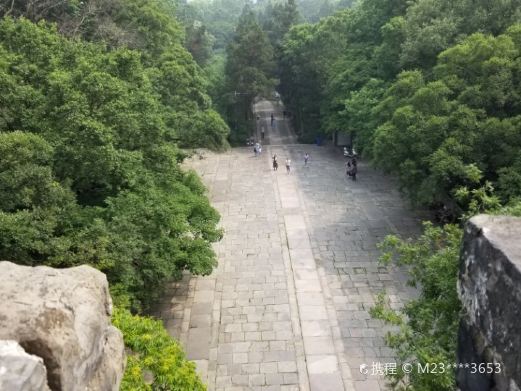 紫金山
