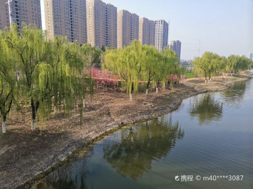 杨家河公园