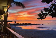 Salt Plage美食图片