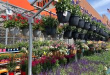 Garden Center at The Home Depot购物图片