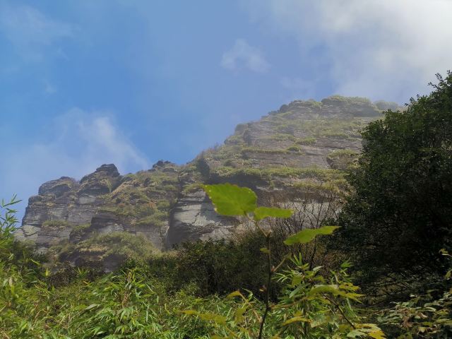 梵净山公园旅行图片 8
