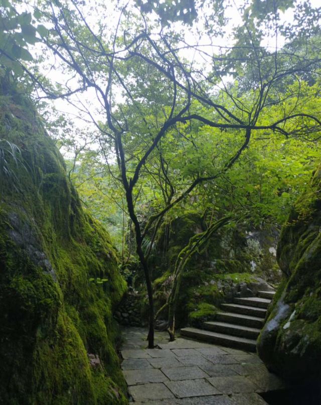 黄连山旅行图片 1