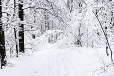 亚布力滑雪旅游度假区-尚志