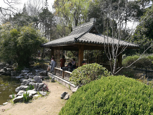 赏春复兴岛公园