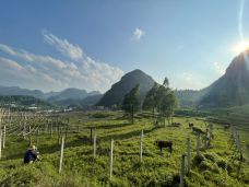 紫云格凸河风景名胜区-紫云-黛西501