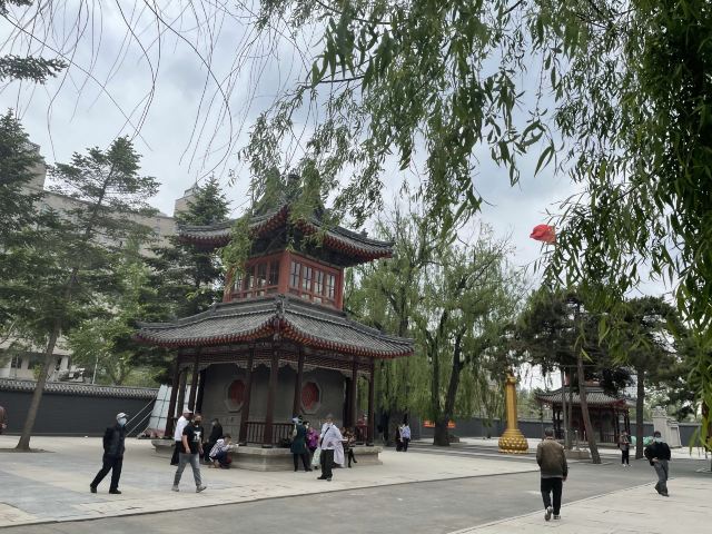 护国般若寺旅行图片 4